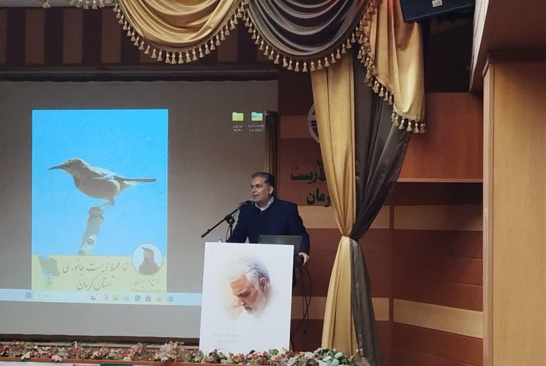 ظهرابی