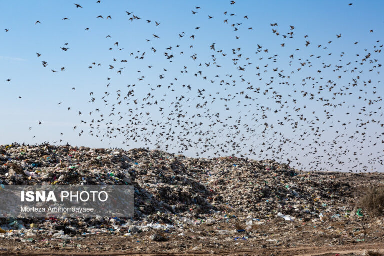 فاجعه محیط‌زیستی در زباله‌گاه نیشابور