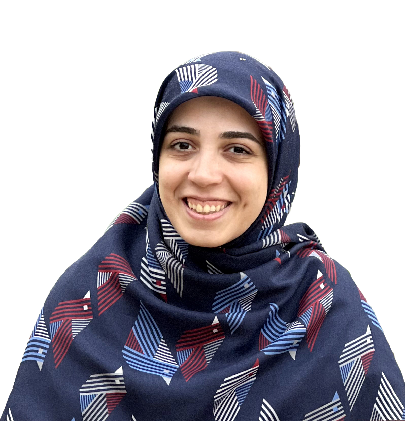 مهتا حافظ
