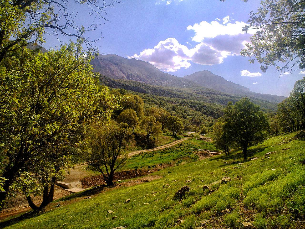 نگاهی گذرا به منابع طبیعی در سال ۱۴۰۳