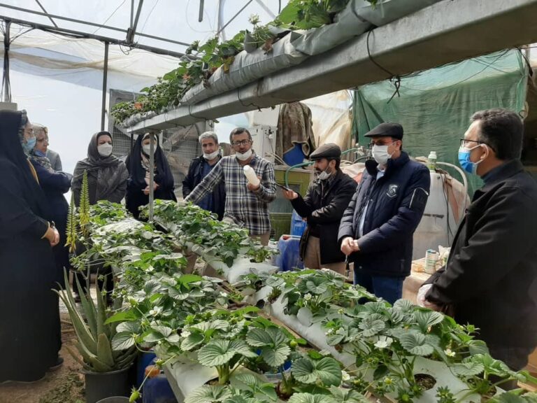  کسب‌وکارهای محیط‌زیستی چگونه می‌توانند شما را به هوش سبز مجهز کنند؟