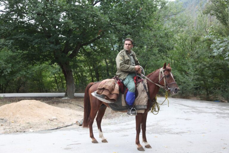 مرگ در گرگ و میش