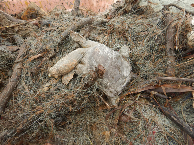 تور مرگبار