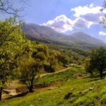مدیریت نابلد و دلسوزی بی‌نتیجه
