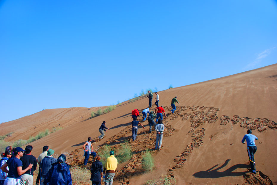 جنبش پایداری زیستی ایران