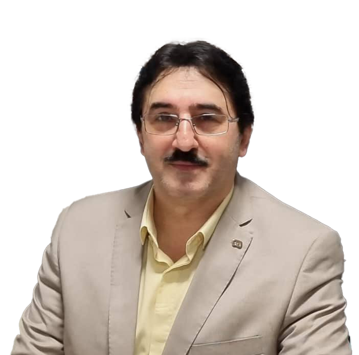 مهران حسنی