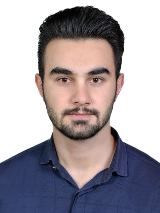 امیر کریمی