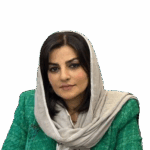 سمیرا فرهادی