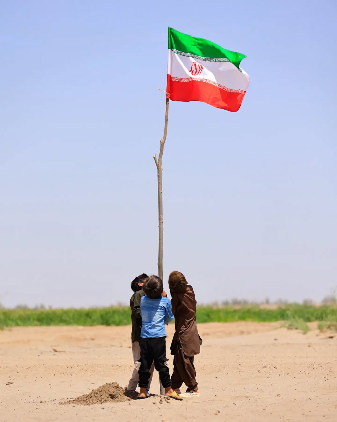 تو سبزِ جاودانْ بمان