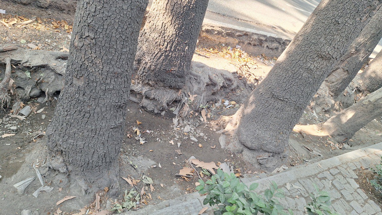 لزوم تامین خاک و کوددهی در بخشهای تخریب شده در اثر اجرای طرح، و در صورت لزوم استفاده از قلوه‌سنگ برای تثبیت خاک بدون ایجاد هر گونه سنگفرش