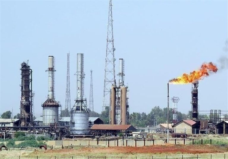 نفت و محیط زیست دست به دست هم می‌دهند تا تالاب هورالعظیم را نجات دهند