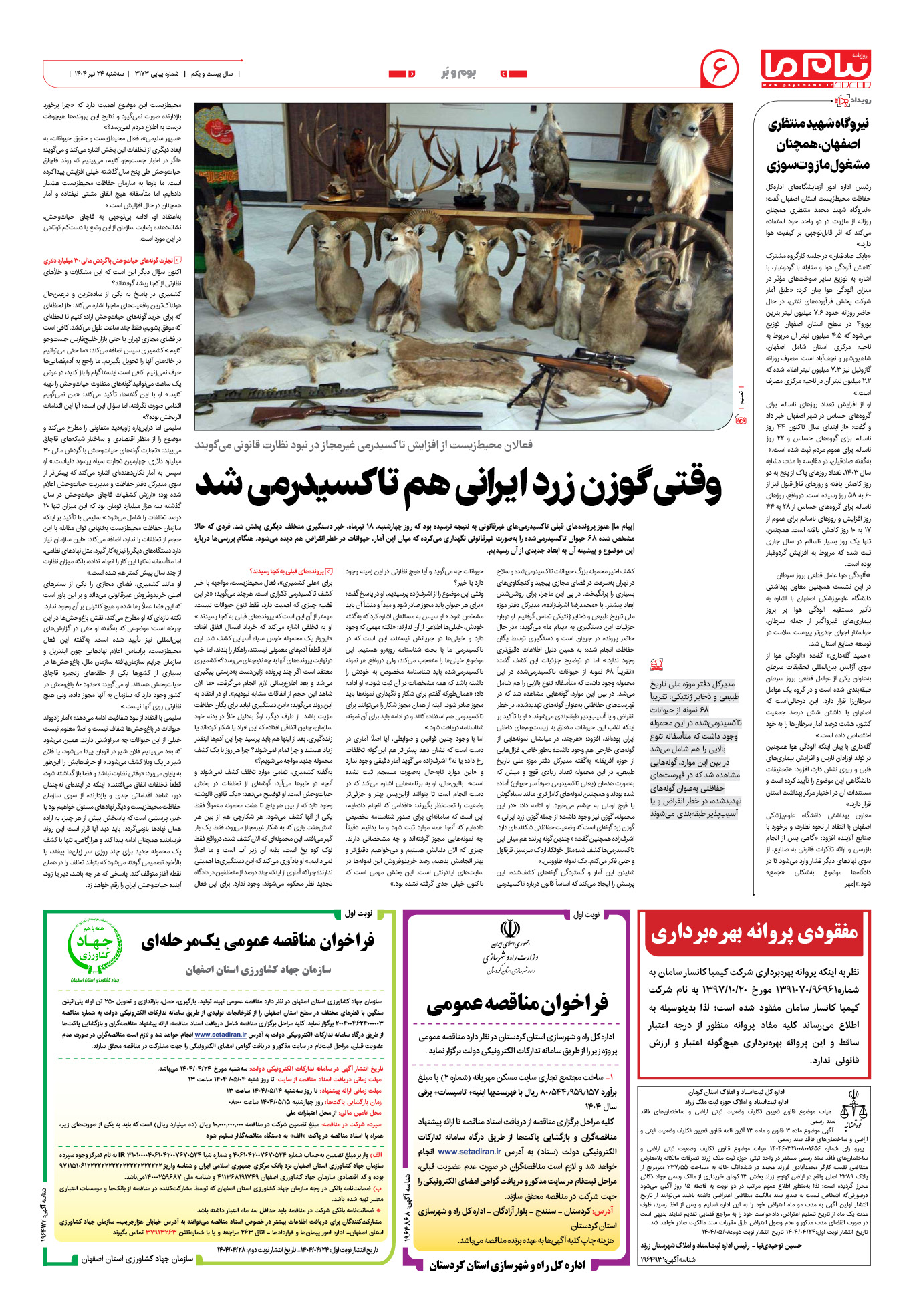 صفحه ۶ شماره ۳۱۷۳ روزنامه پیام ما