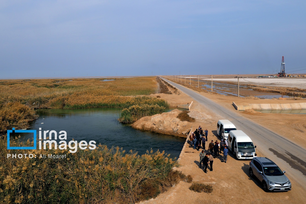 رسانه‌ آزاد ضامن طبیعت پایدار