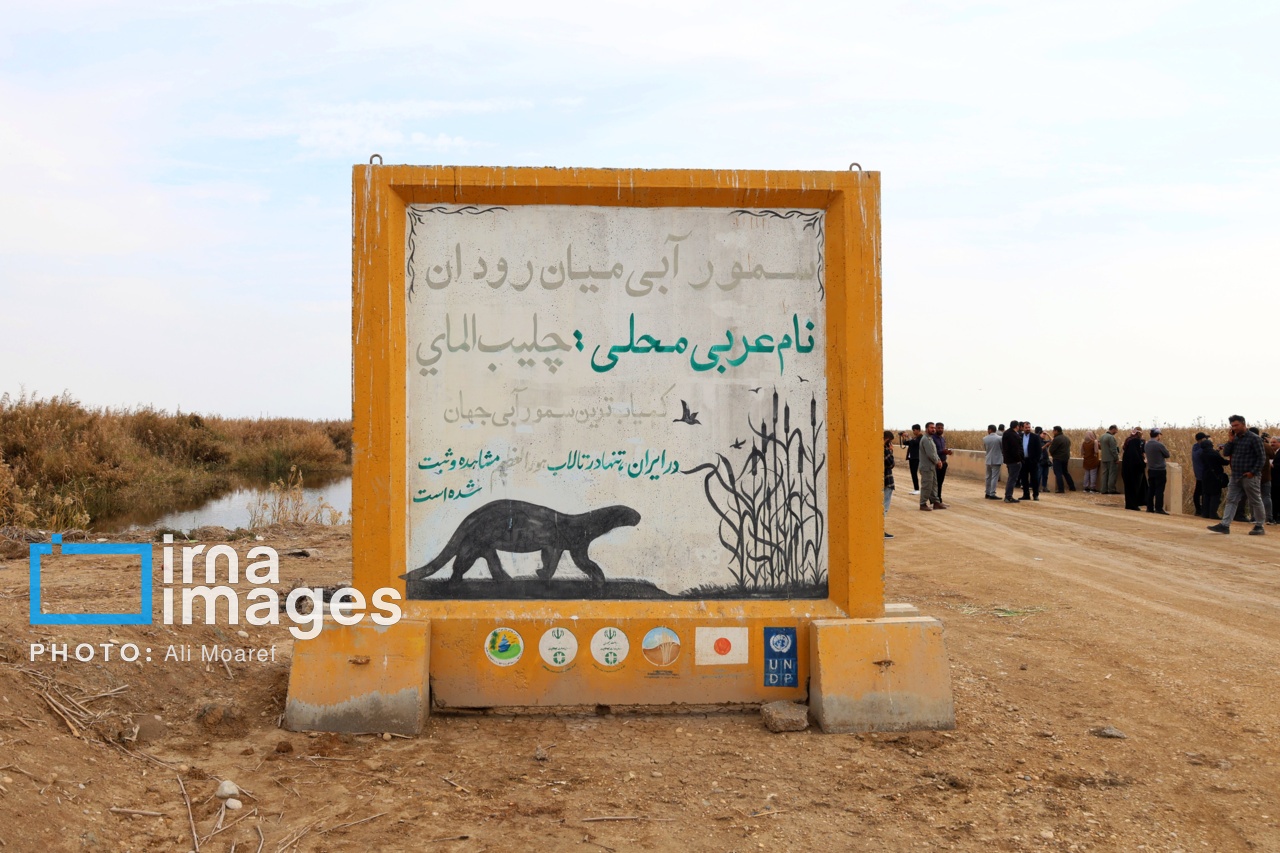خبرنگار مُرد، زنده باد خبرنگار!