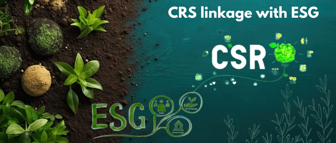 تمایز میان CSR و ESG