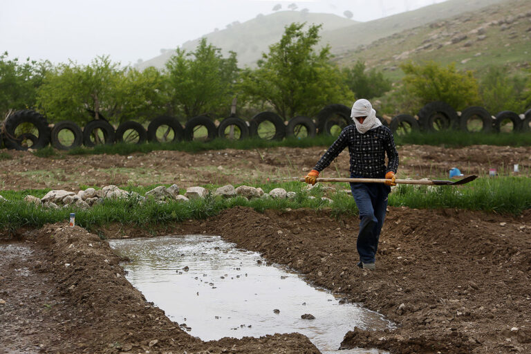 کشاورزی، جراحی سنگین می‌خواهد