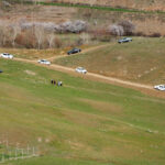 سکوت جنگل را ندزدید