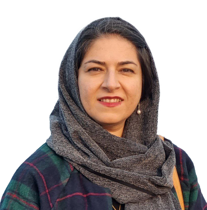 انوشه میرمجلسی