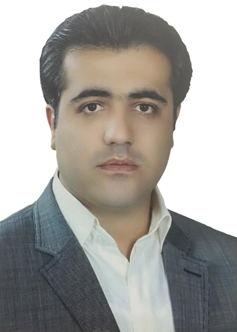 محسن حبیبی