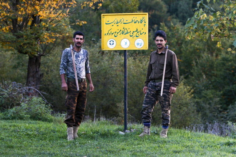 نگهبانان روح جنگل