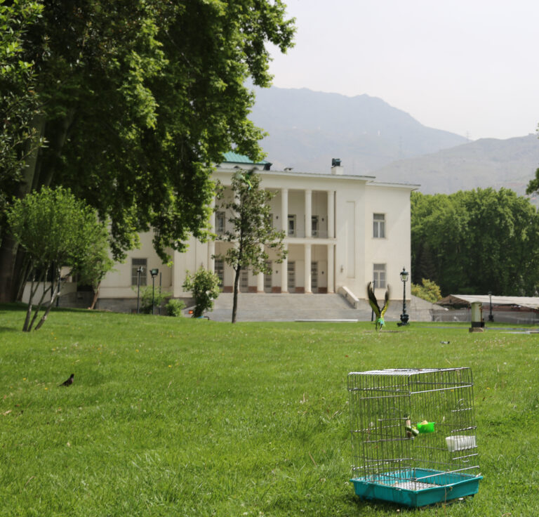 زندگی پنهان در موزه‌های تهران