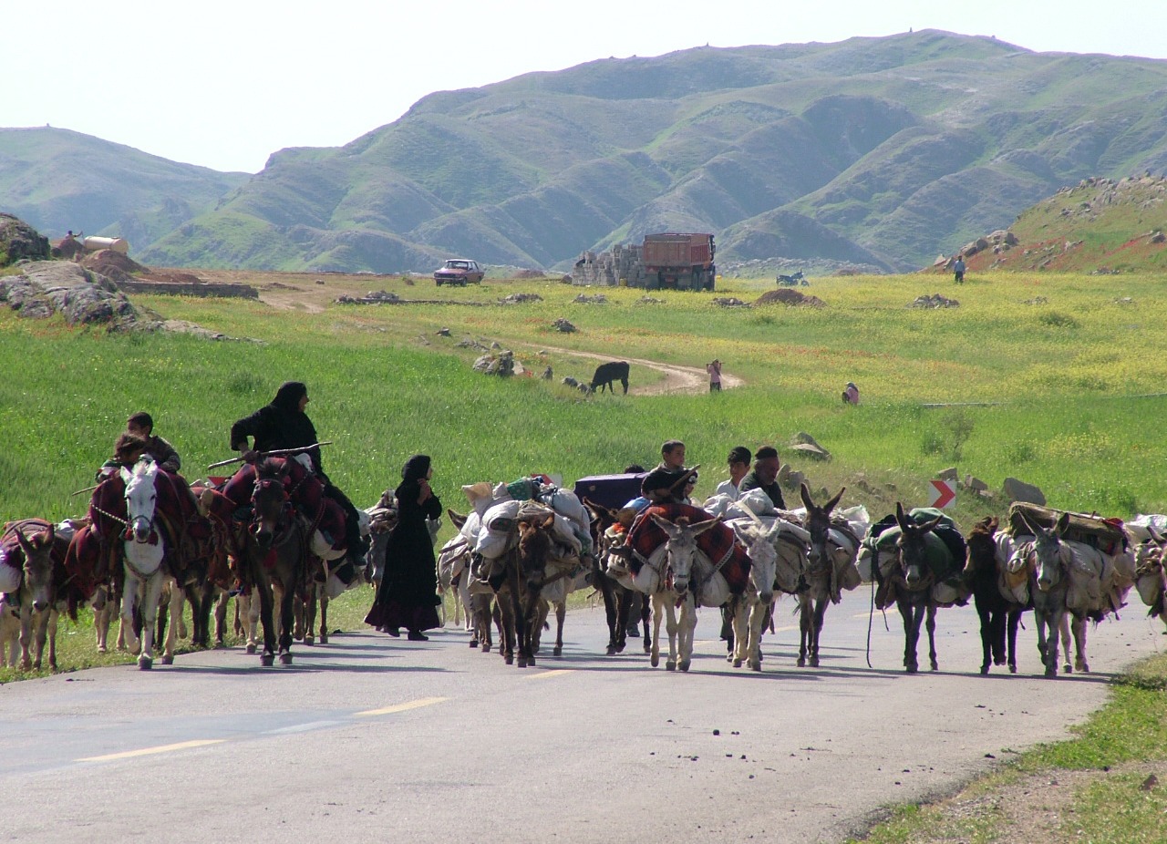 زندگی کوچنده، یادگاری از گذشته یا یک الگوی پایدار