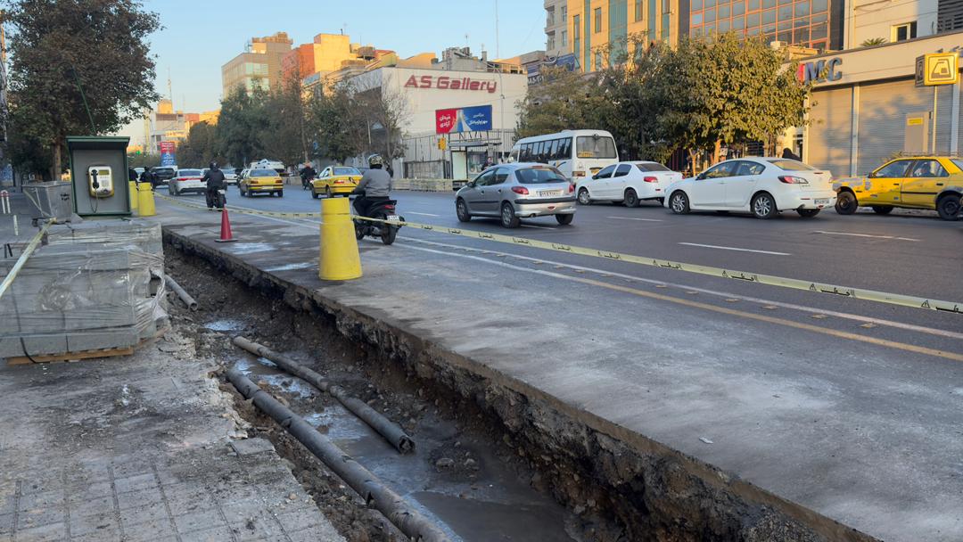 قطع درختان این‌بار در خیابان عباس‌آباد تهران