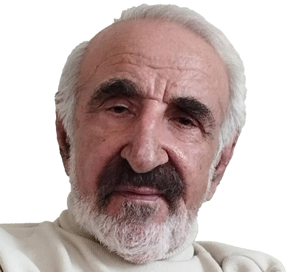 ابراهیم موسوی‌نژاد