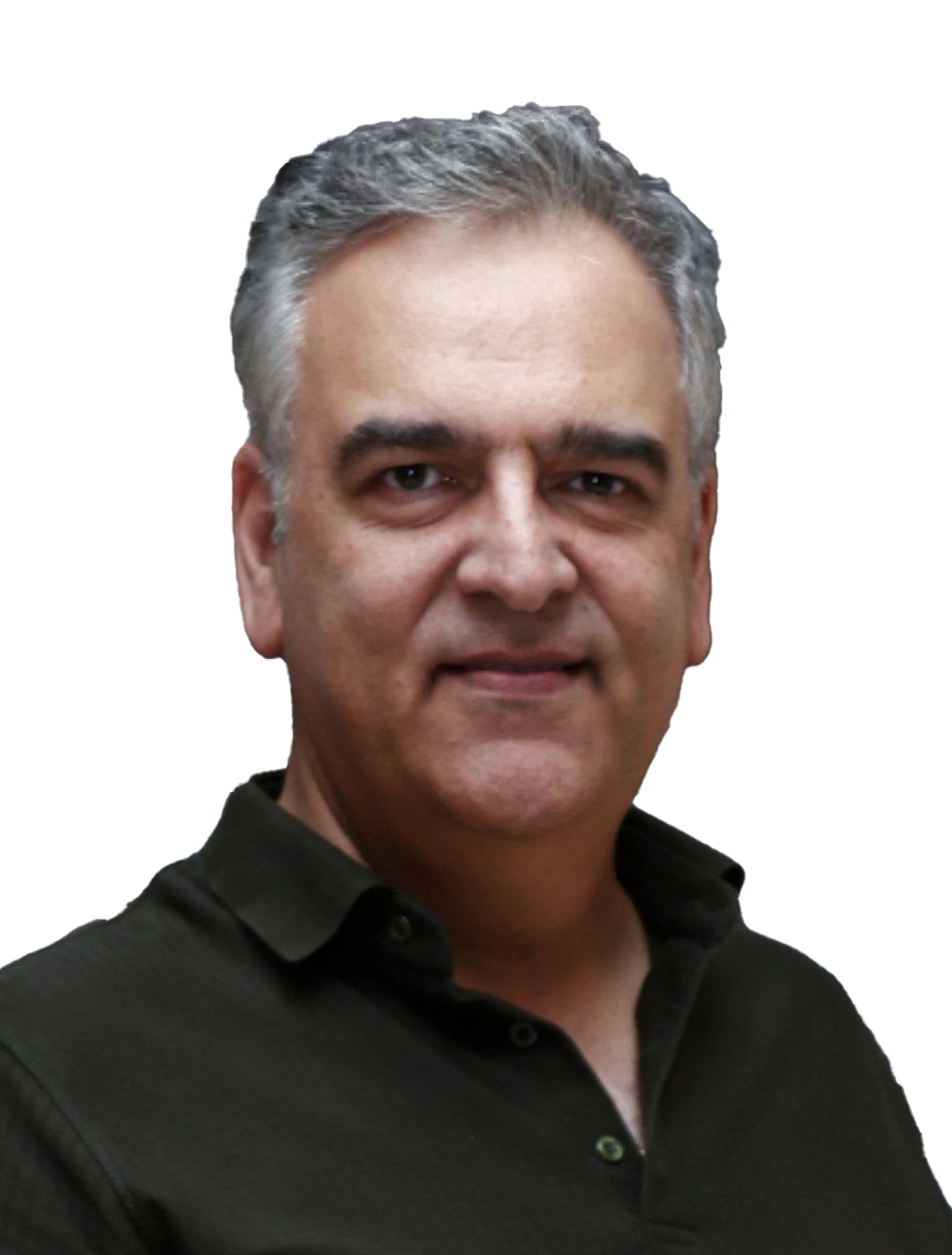 پیمان شوقی