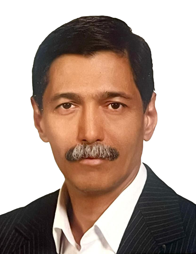 پورنگ پورحسینی