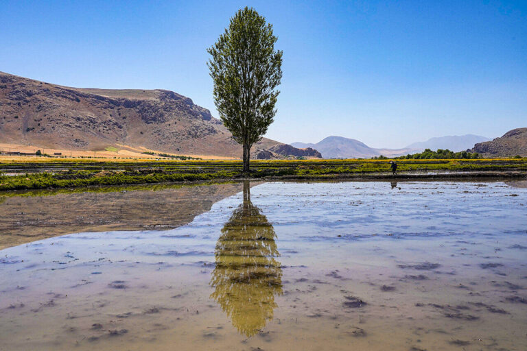 بازار بهره‌وری آب، در سایه دولت‌گرایی روش‌شناختی