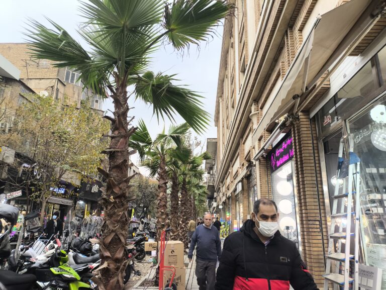 کاشت نخل در لاله‌زار تهران