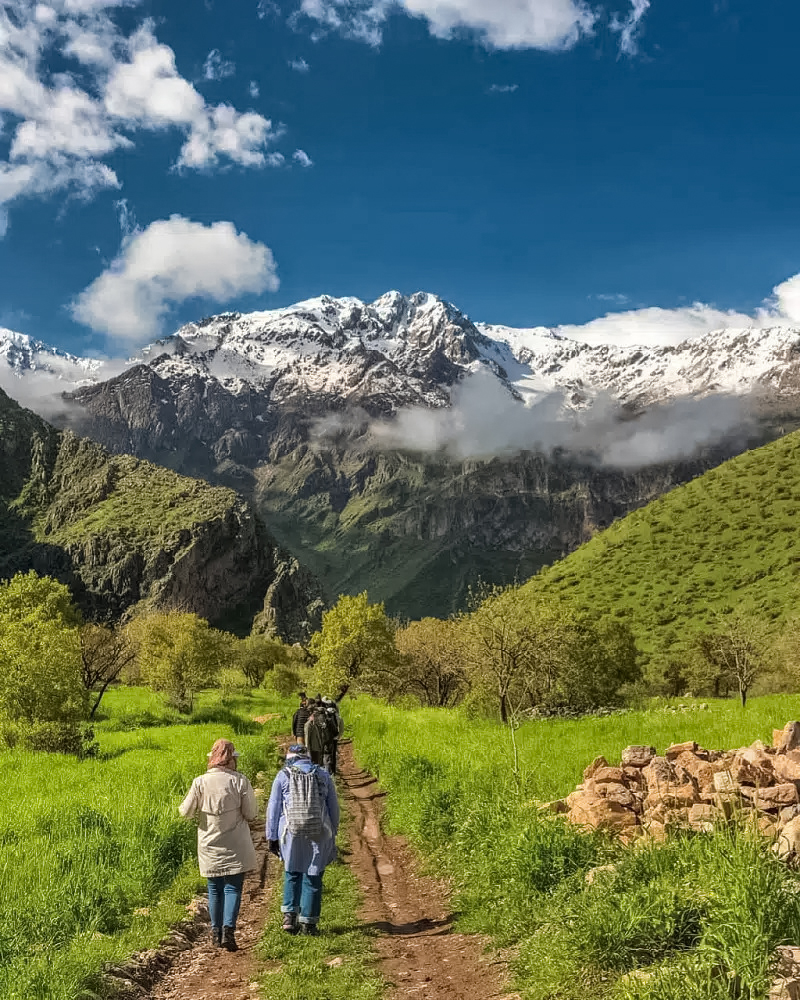 کمیته طبیعت‌گردی در برزخ انحلال