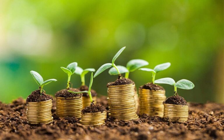 مدیریت سبز یا سبزشویی، مسئله این است