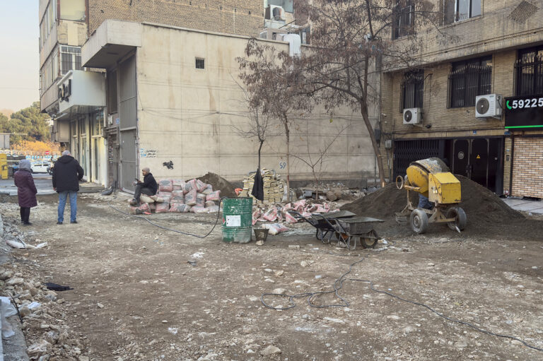 شمشادهای تهران قربانی بهسازی فضای شهری