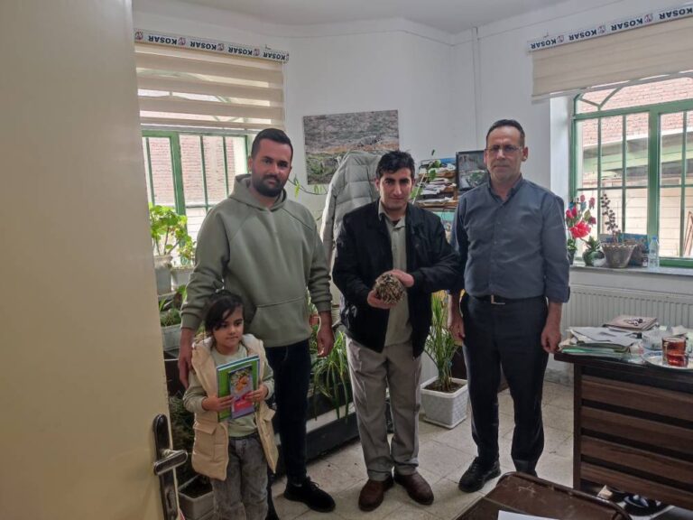 تحویل یک بال جغد زخمی به محیط‌زیست نقده