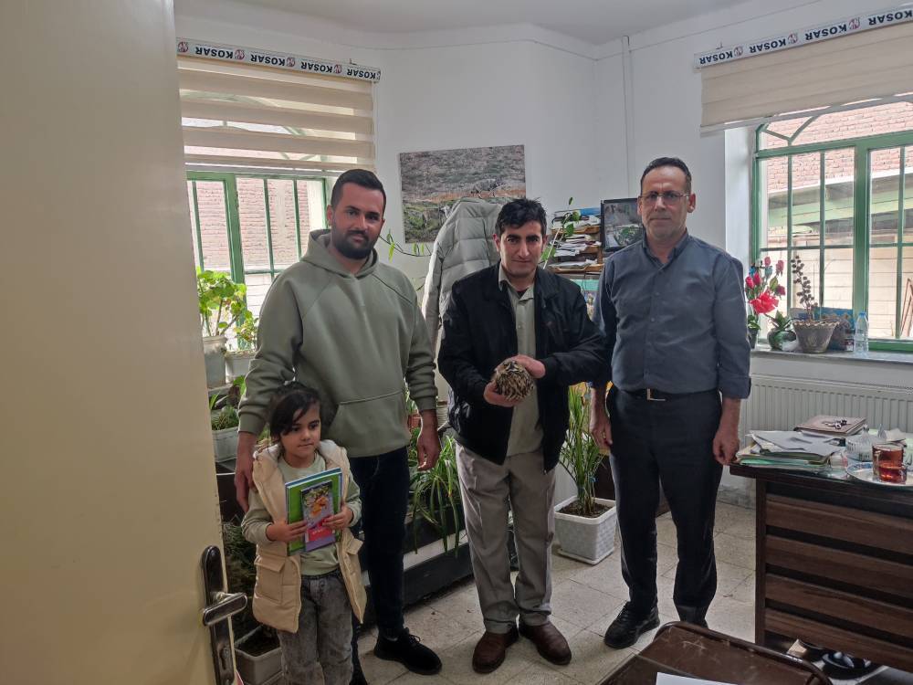 تحویل یک بال جغد زخمی به محیط‌زیست نقده