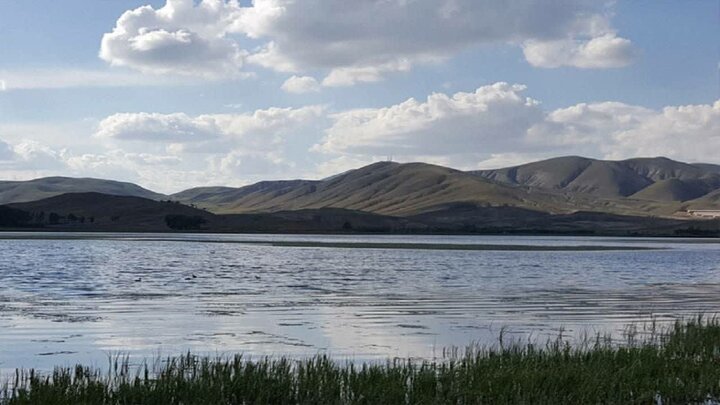 مدیریت منابع آب؛ کلید پایداری تالاب گرده‌قیط