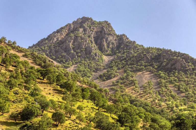 پنج دهه میدان‌داری یک زن در محیط‌زیست ایران