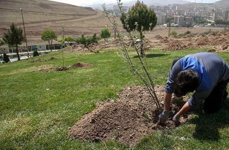 منابع اعتباری، بزرگ‌ترین چالش طرح «کاشت یک میلیارد درخت»