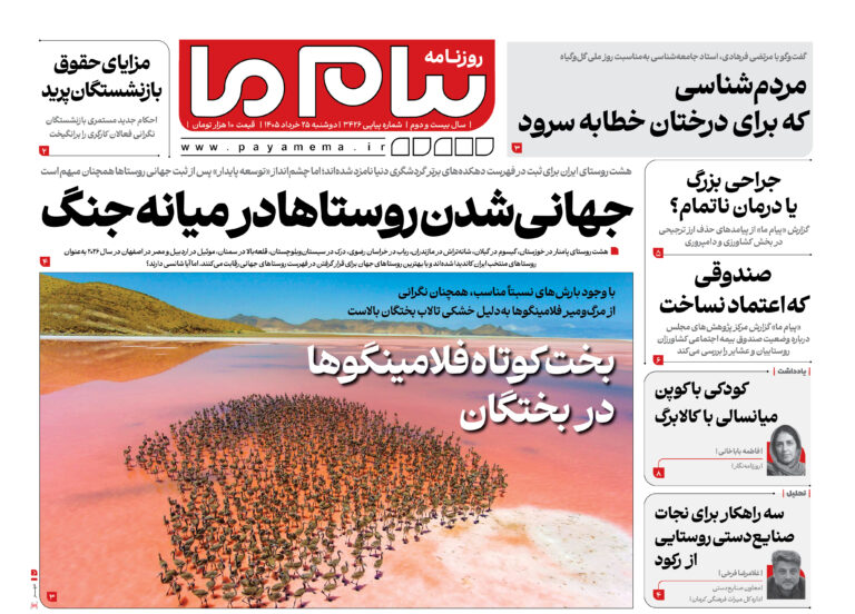 ثبت تصویر زادآوری گربه شنی در پناهگاه عباسآباد اصفهان؛ دستاوردی جهانی