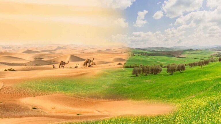 ضرورت دیپلماسی فعال برای مقابله با بیابان‌زایی