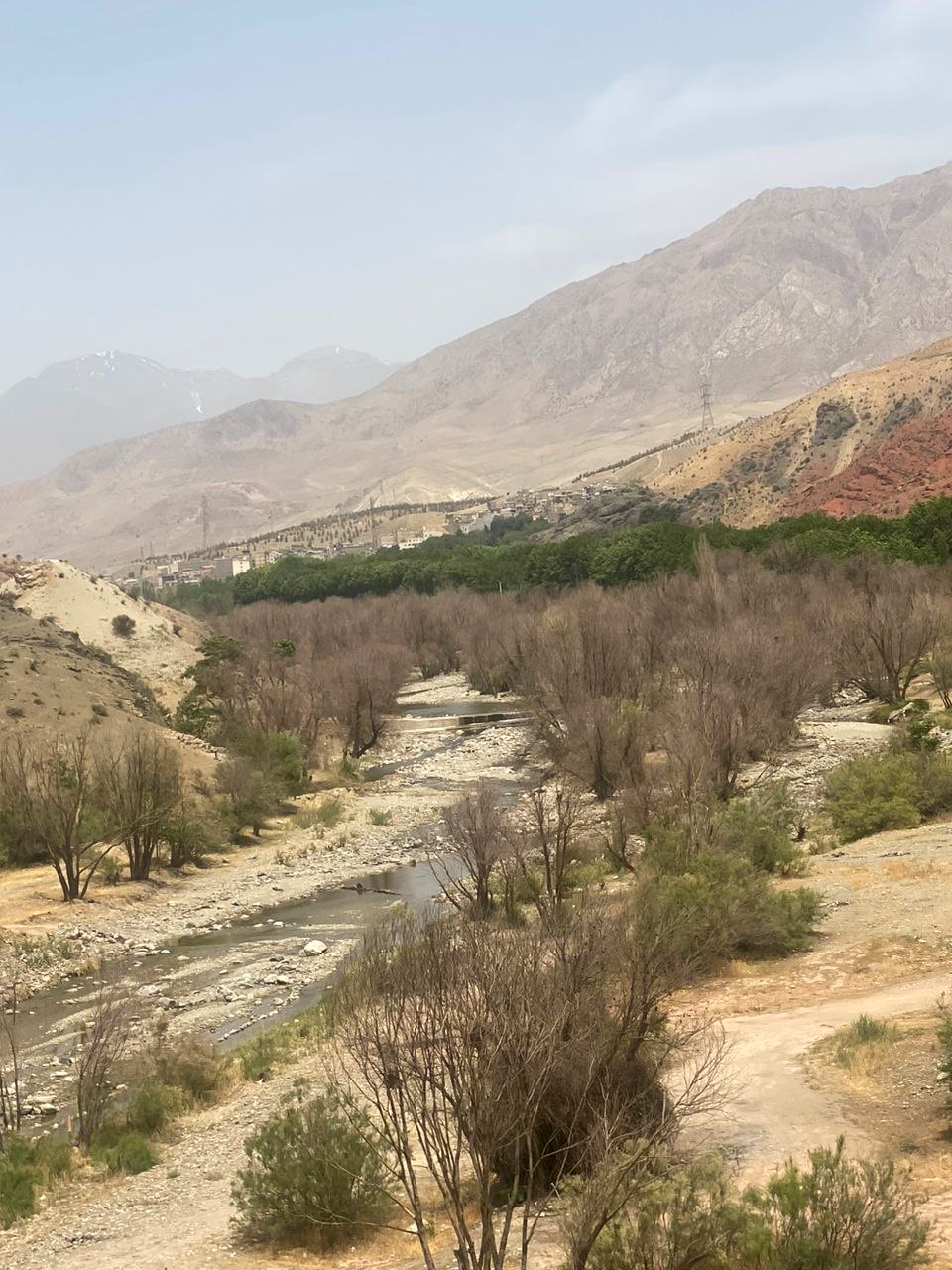 خاموشـــــــی سبز در «جاجرود»