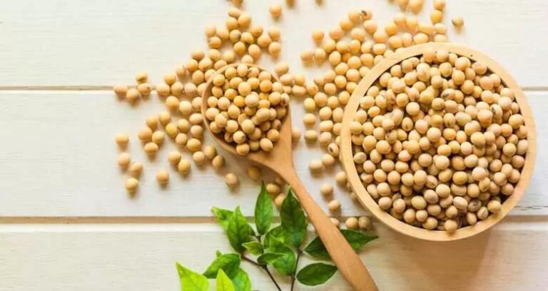 روی تاریک مصرف بی‌رویه سویا
