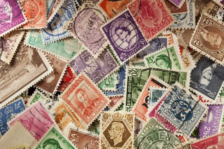 سفیران کاغذی فرهنگ
