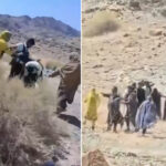 طلا، تفتــــان را تکه‌تکه کرد