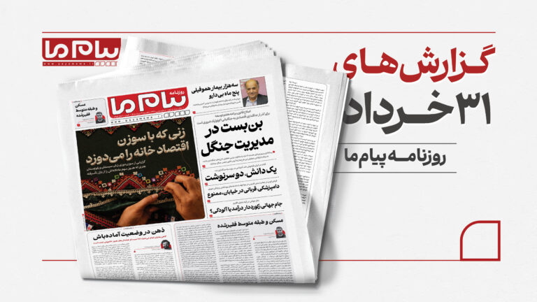 اقتصاد پنهان سوزن‌دوزی تا چالش مدیریت جنگل‌ها