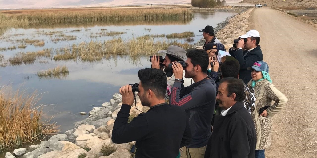 ارتباط انسان و پرنده؛ هدف حفاظت