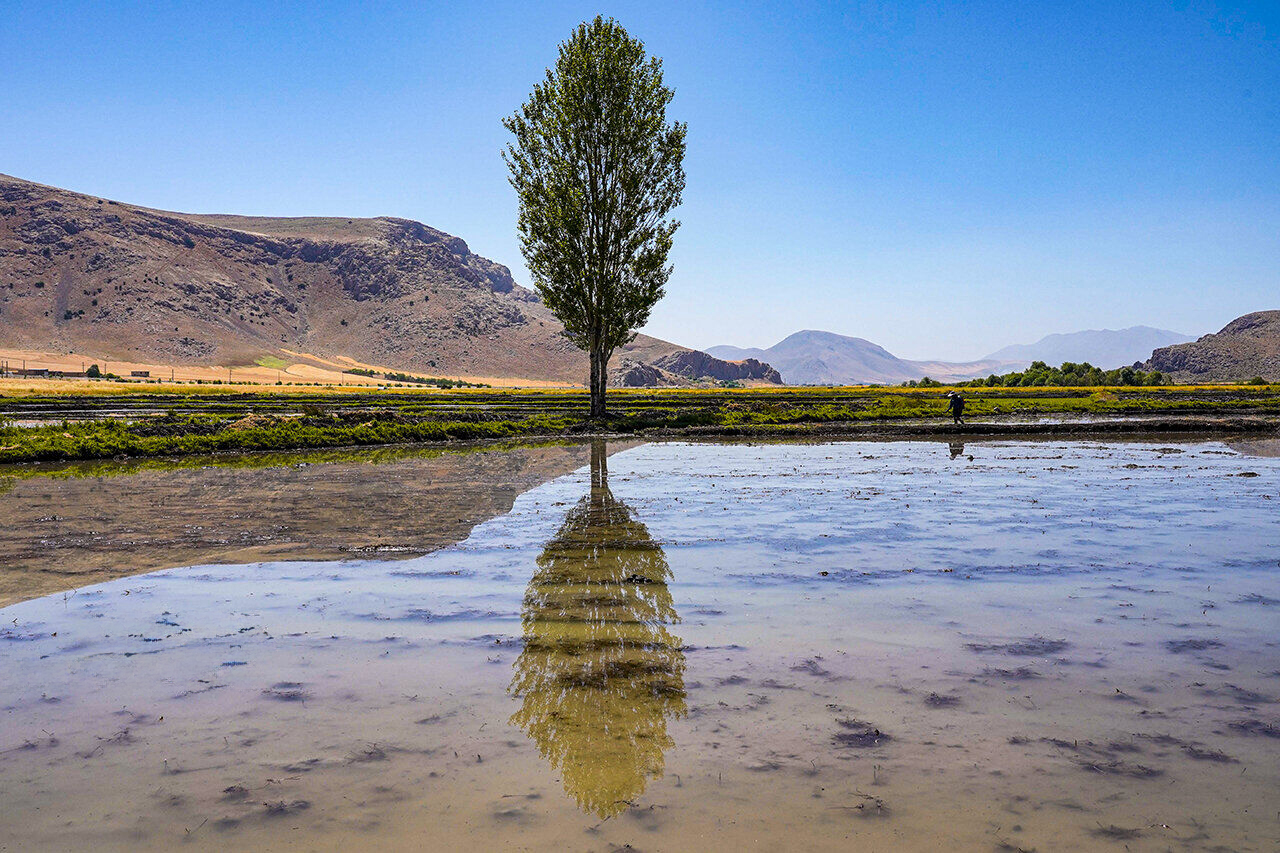 گذار از آب به توسعه  در پساجنگ