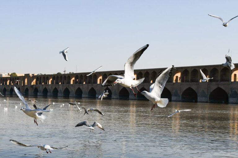 افزایش خروجی سد زاینده‌رود از جمعه ۵ تیر برای آبیاری باغات و کشاورزی